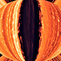 Tiger's Eye Digital Art by Ronald Mills Tiger's Eye Digital Art by Ronald Mills