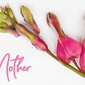 To Mother Mixed Media by Moira Law To Mother Mixed Media by Moira Law