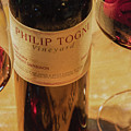 Togni Wine 15 Photograph by David Letts Togni Wine 15 Photograph by David Letts