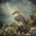 Tomas the Titmouse Digital Art by Maggy Pease Tomas the Titmouse Digital Art by Maggy Pease