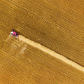 Top view of combine on harvest field Photograph by Mikhail Kokhanchikov Top view of combine on harvest field Photograph by Mikhail Kokhanchikov