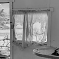 Torn Curtain  by Matthew Bamberg