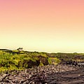 Touch of Golden Pink Sunrise in Azores Islands Photograph by Marco Sales Photography
