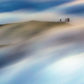 Touch Of Wind Photograph by Evgeni Dinev Touch Of Wind Photograph by Evgeni Dinev