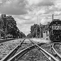 Tracks Photograph by DB Hayes Tracks Photograph by DB Hayes