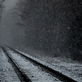 Tracks in the Snow Photograph by Denise Kopko Tracks in the Snow Photograph by Denise Kopko
