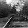 The Journey_5072 Photograph by Rocco Leone The Journey_5072 Photograph by Rocco Leone