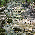 Trail Is A Creek Photograph by Phil Perkins Trail Is A Creek Photograph by Phil Perkins