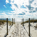 Trail of Footprints to the Beach Photograph by Beachtown Views Trail of Footprints to the Beach Photograph by Beachtown Views