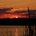 Tranquility Photograph by Mary Walchuck Tranquility Photograph by Mary Walchuck