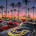 TransAm Sunset Photograph by Darrell Foster TransAm Sunset Photograph by Darrell Foster