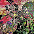 Transformation Photograph by Shara Abel Transformation Photograph by Shara Abel