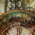 Trapped in Time Photograph by Shara Abel Trapped in Time Photograph by Shara Abel