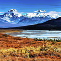 Traveling the Denali Highway in Alaska by Denise McAllister Traveling the Denali Highway in Alaska by Denise McAllister