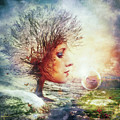 Treasure by Mario Sanchez Nevado Treasure by Mario Sanchez Nevado