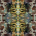 Tree Full of Life Double Mirrored Vertical 4x6 Photograph by Ben Upham III Tree Full of Life Double Mirrored Vertical 4x6 Photograph by Ben Upham III