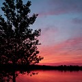 Tree in Sunset Photograph by Mary Walchuck Tree in Sunset Photograph by Mary Walchuck