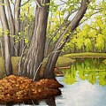 Tree reflection by Inese Poga