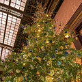 Tree Topper by Kristopher Schoenleber