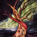 Tree with Northern Lights by Vonda Drees Tree with Northern Lights by Vonda Drees