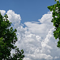 Trees Clouds Sky Photograph by Phil Perkins Trees Clouds Sky Photograph by Phil Perkins