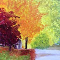 Trees of Winton Painting by Kate Conaboy Trees of Winton Painting by Kate Conaboy