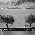 Trees on the Pier Photograph by Kae Cheatham Trees on the Pier Photograph by Kae Cheatham