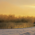 Trexler Park Pond Foggy Winter Sunrise Photograph by Jason Fink Trexler Park Pond Foggy Winter Sunrise Photograph by Jason Fink