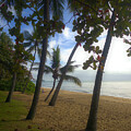 Trinity Beach  by Agnes Caruso