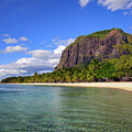 Tropical beach with boats, palm trees, and Le Morne Brabant mountain, Mauritius by Miroslav Liska