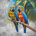 Tropical Parrots in Feathered Hues by Walter Herrit
