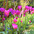 Tulip Beauties Painting by Jane Small Tulip Beauties Painting by Jane Small