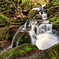 Tumbling Tributary by Brad Brizek