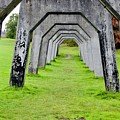 Tunnel Vision by Beauty Reframed Photography