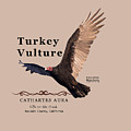 Turkey Vulture Cathartes aura Digital Art by Lisa Redfern Turkey Vulture Cathartes aura Digital Art by Lisa Redfern