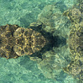 Turquoise sea water and rocks Digital Art by Adriana Mueller Turquoise sea water and rocks Digital Art by Adriana Mueller