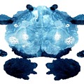 Turquoise Tortoise Painting by Stephenie Zagorski Turquoise Tortoise Painting by Stephenie Zagorski