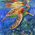 Turtle Reflections Painting by Hailey E Herrera Turtle Reflections Painting by Hailey E Herrera