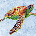 Turtle Reflections on Blue Painting by Hailey E Herrera Turtle Reflections on Blue Painting by Hailey E Herrera
