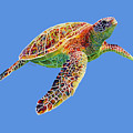 Turtle Reflections - solid background Painting by Hailey E Herrera Turtle Reflections - solid background Painting by Hailey E Herrera