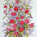 Twelve Little Hummingbirds by Lois Mountz Twelve Little Hummingbirds by Lois Mountz