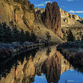 Twice the View by Tim Lyden