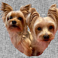 Twinki Girl 1 by Twinki Gurl 1
