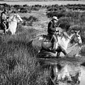 Two Camargue gardians crossing the stream by Jean Gill