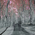 Two Ghosts Walking Dog Digital Art by Russ Considine Two Ghosts Walking Dog Digital Art by Russ Considine