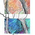 Two Trees Digital Art by Ted Clifton Two Trees Digital Art by Ted Clifton