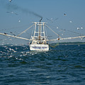 Tybee Island Fishing Boat Photograph by Annamaria Frost Tybee Island Fishing Boat Photograph by Annamaria Frost