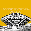 UC San Diego Gold by DB Artist