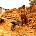 Unbelievable Resilience Photograph by Leslie Struxness Unbelievable Resilience Photograph by Leslie Struxness
