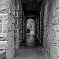 Under Cut River Bridge by Vi Ray